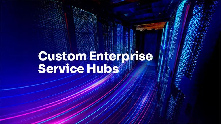 Custom Enterprise Service Hub Featured Image