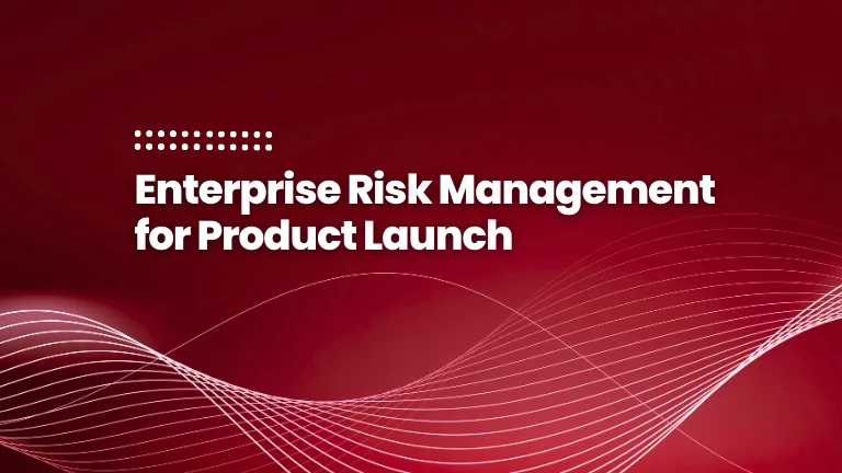 Enterprise Risk Management for Product Launch
