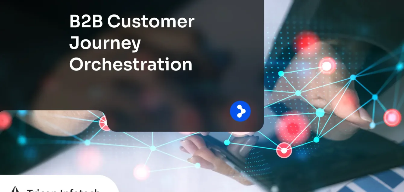 B2B Customer Journey Orchestration